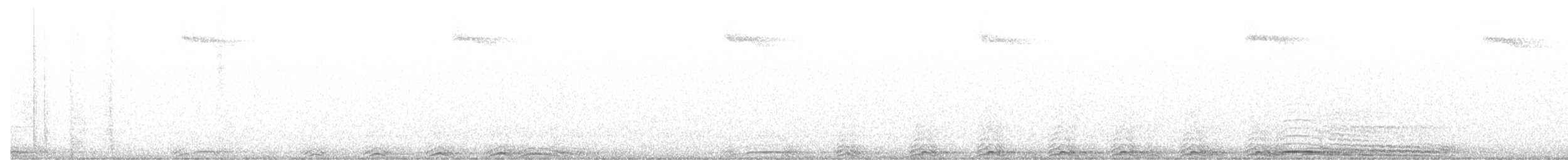 Barred Owl - ML638303932
