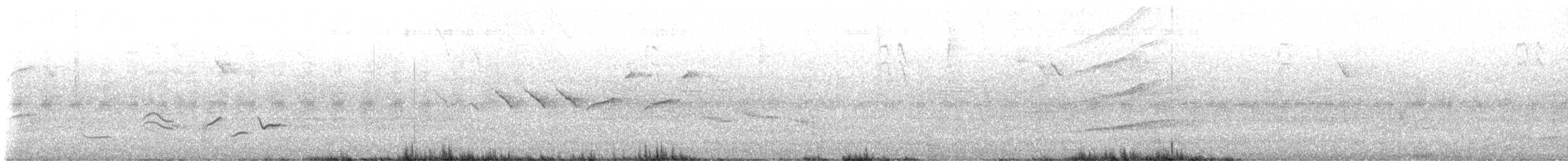 hvitkragefrøeter - ML638305196