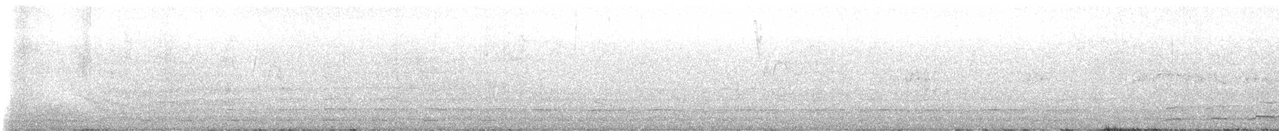 Crested Guan - ML638305546