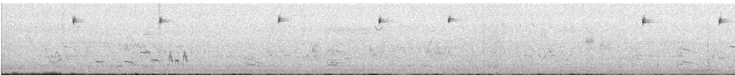 Western Meadowlark - ML638305725