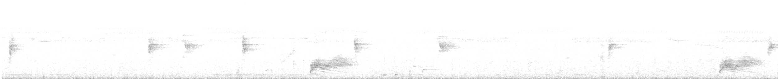 Solitary Black Cacique - ML638306064