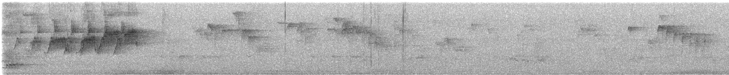 Northern Parula - ML638306162