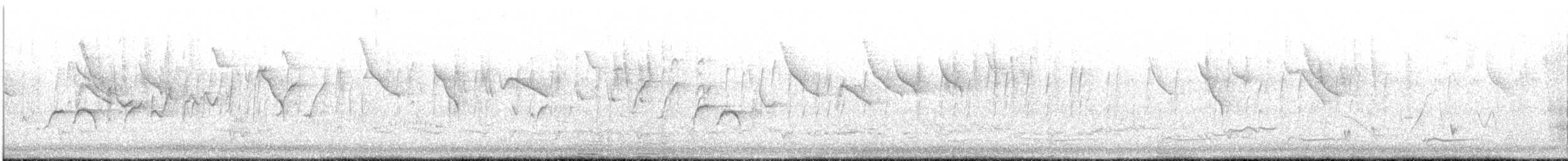 Weebill - ML638306260