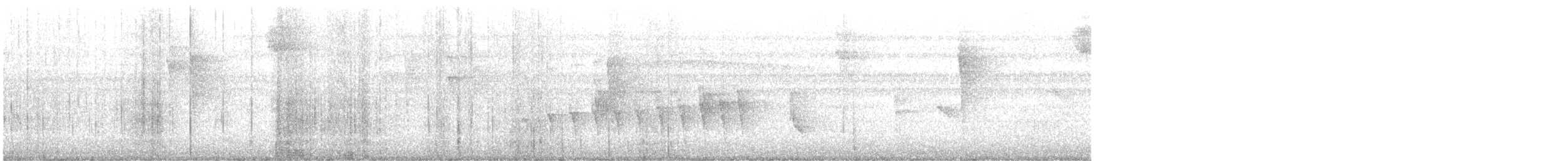 Pacific Antwren - ML638306357