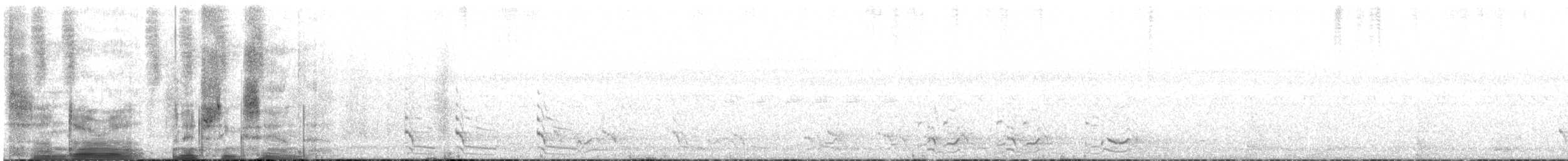 Pied Currawong - ML638306377