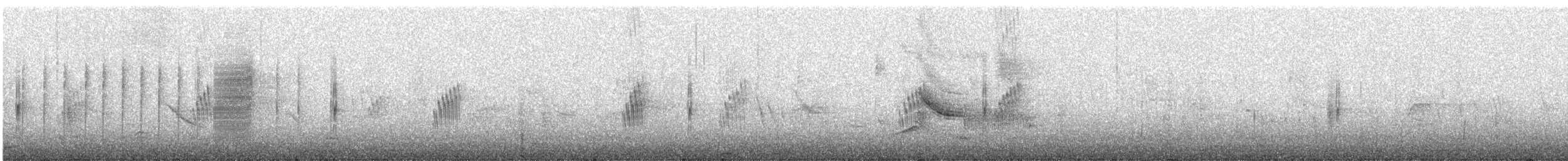 Wren-like Rushbird - ML638306618