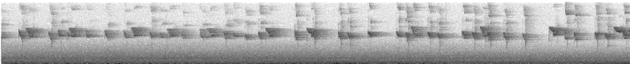Thorn-tailed Rayadito - ML638306625