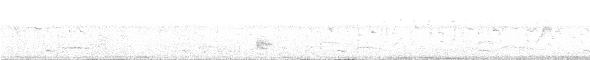 Riparian Antbird - ML638306638