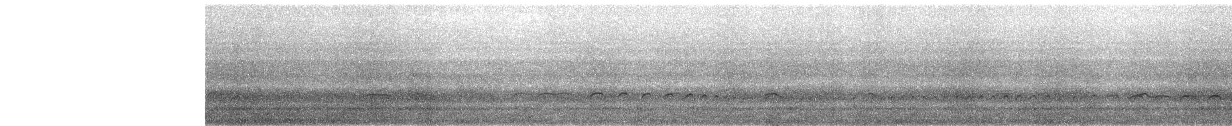 Black Oystercatcher - ML638306754