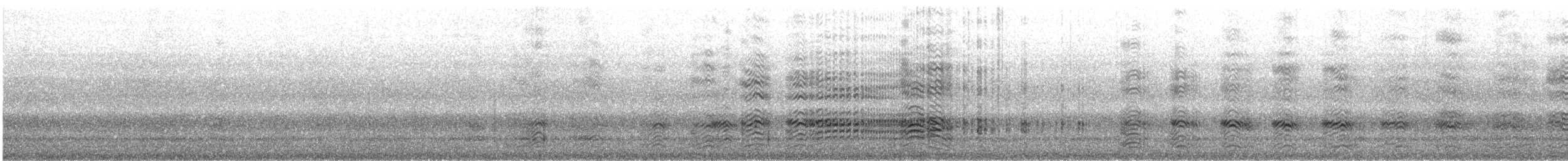 ウミガラス - ML638306774