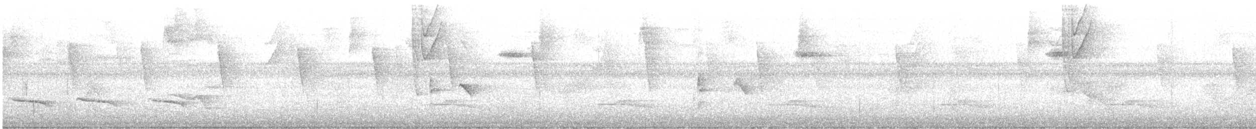 passerine sp. - ML638306790
