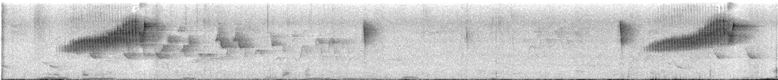 Northern Parula - ML638306909