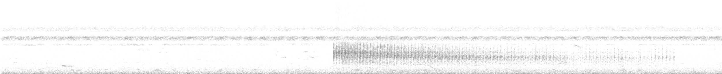 Gray-breasted Crake - ML638308187