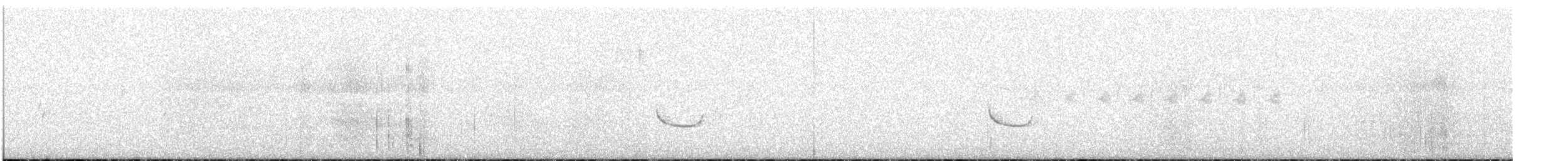 Say's Phoebe - ML638309974