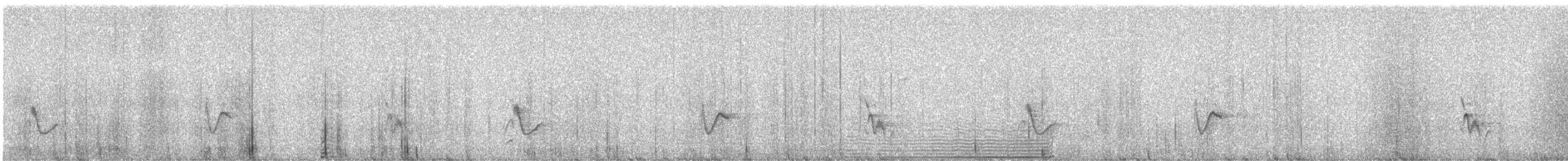 Gray Vireo - ML638310097