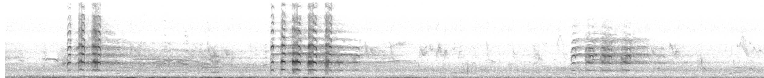 čejka australská - ML638310512