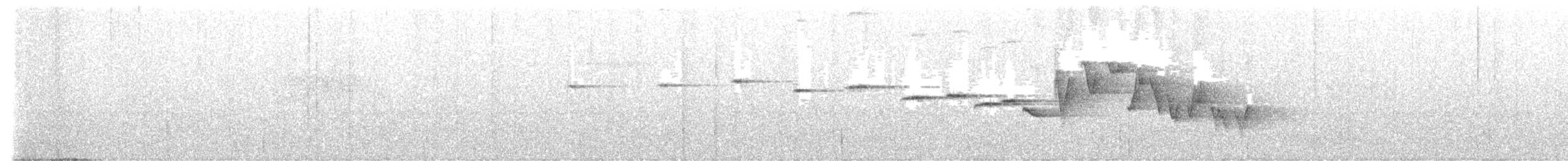 skiferbuktesia - ML638311696