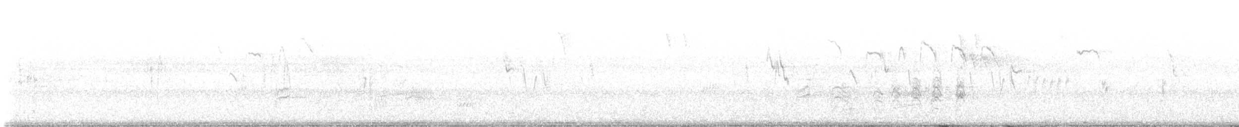 svartglente - ML638311742