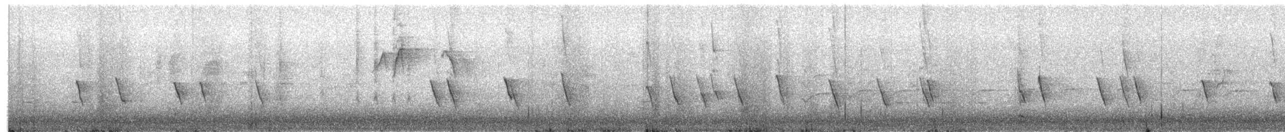 Méliphage de Nouvelle-Hollande - ML638311898
