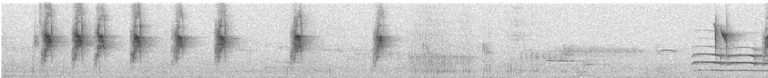 Mohoua à tête blanche - ML638312320