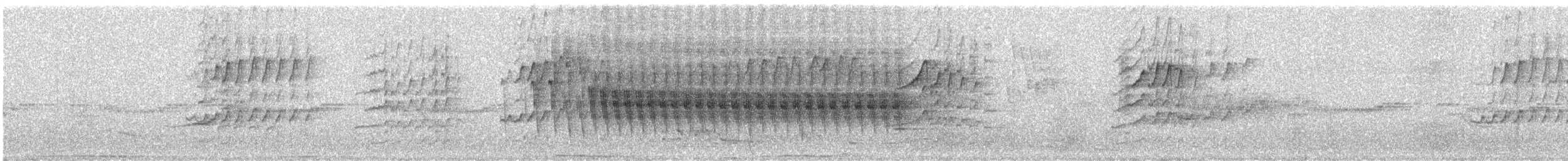 Mohoua à tête blanche - ML638312321