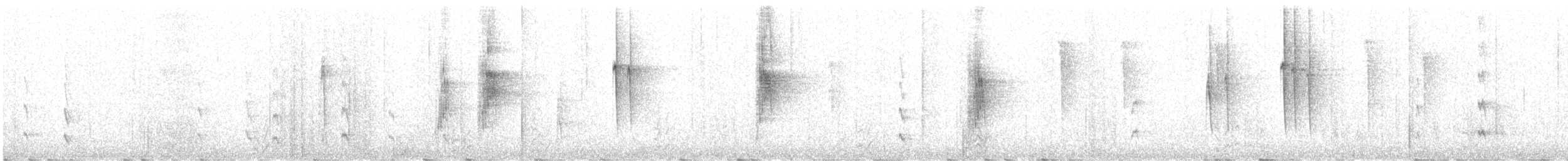 Mohoua à tête blanche - ML638312322