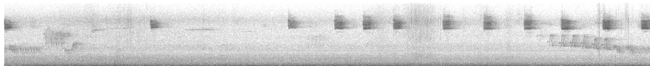 Ficedula sp. - ML638312465