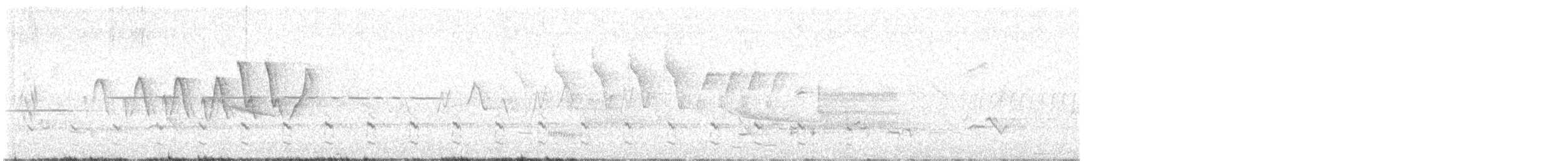 Wilson's Snipe - ML638312756