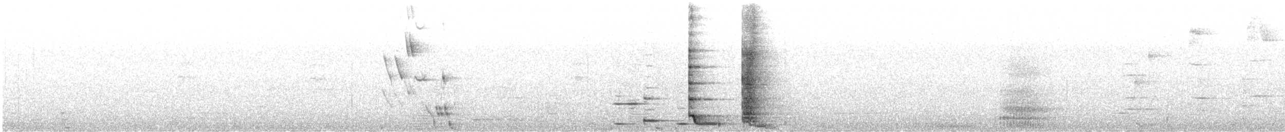 Méliphage tui - ML638313339