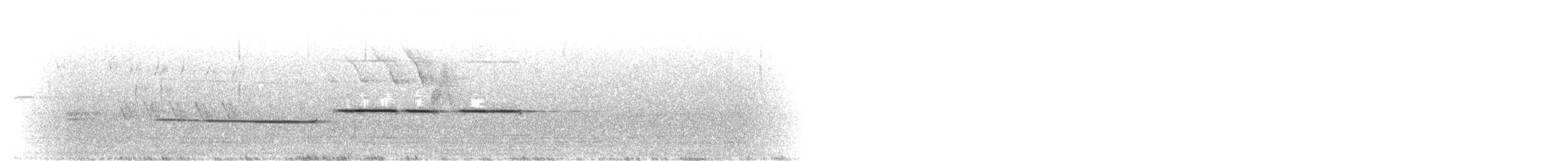 White-throated Sparrow - ML638313392