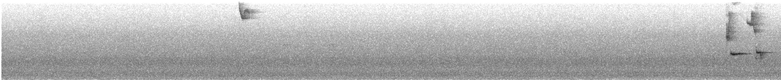 Stichvogel - ML638313403