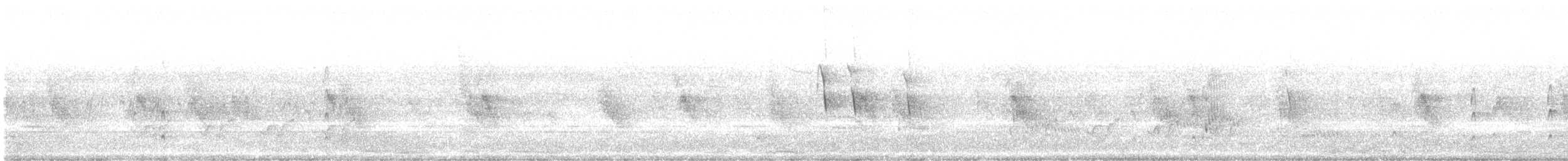 Couch's Kingbird - ML638314651