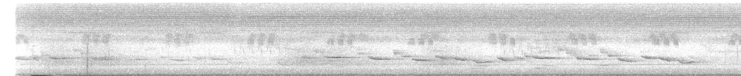 Tordina Pechiestriada - ML638314812