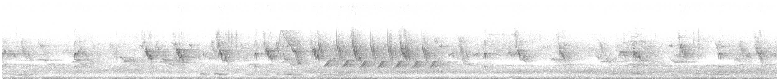 Couch's Kingbird - ML638314913