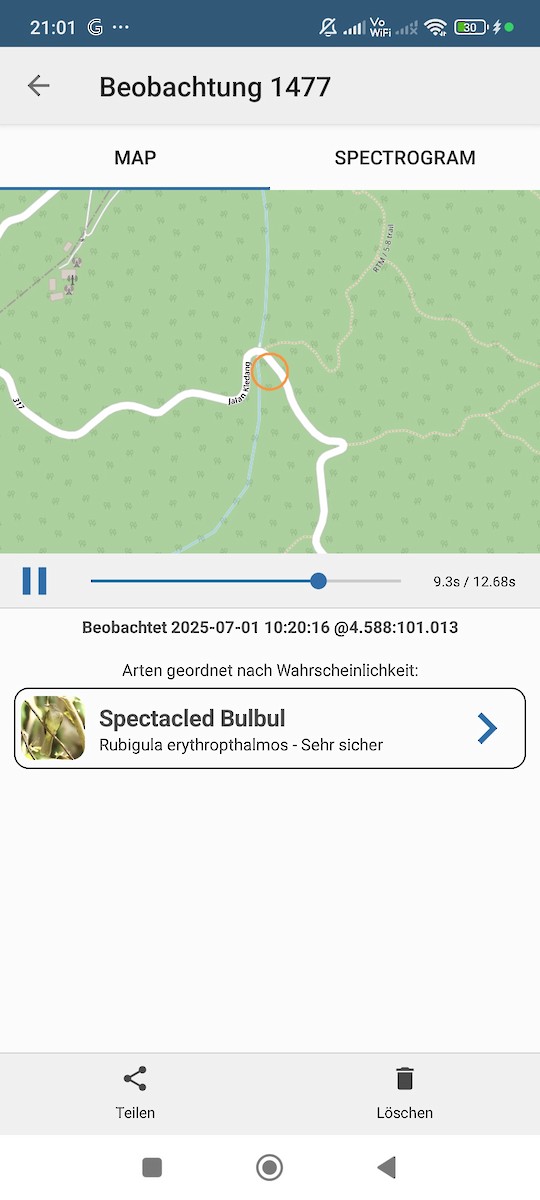 Spectacled Bulbul - ML638314926