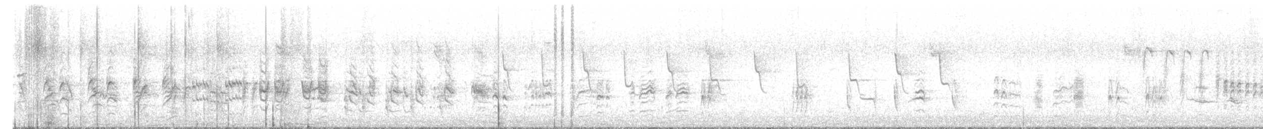 Common Reed Warbler - ML638315015