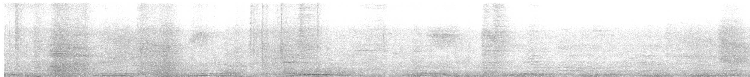 Rock Pigeon (Feral Pigeon) - ML638315351