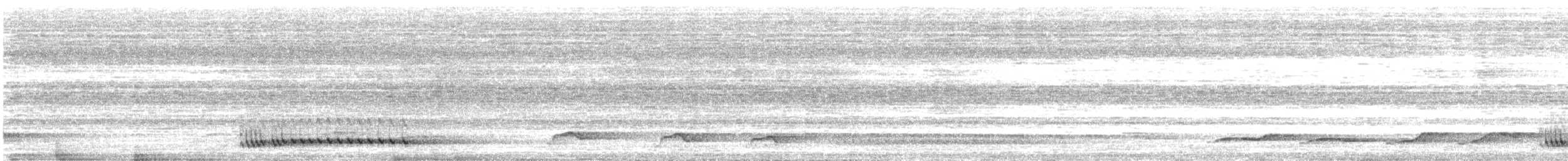 Prachtbartvogel - ML638315560