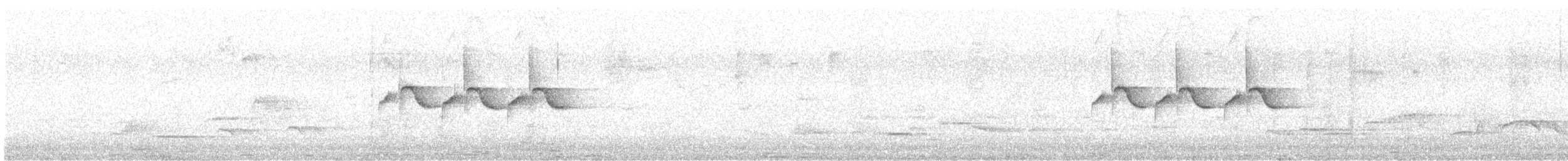 Синиця чорна (підвид britannicus/hibernicus) - ML638315650