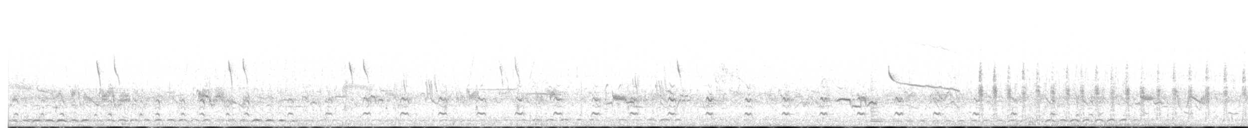 Wilson's Snipe - ML638316111
