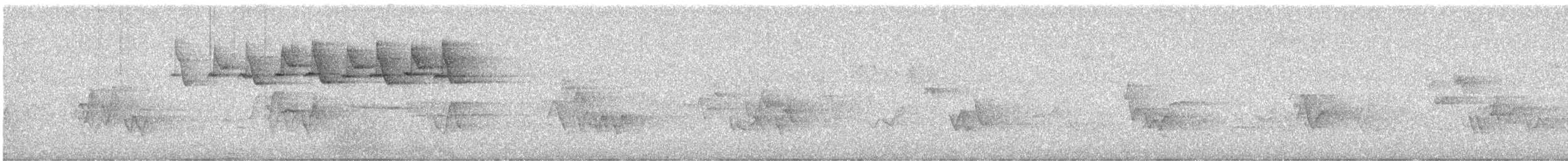 Black-and-white Warbler - ML638316897