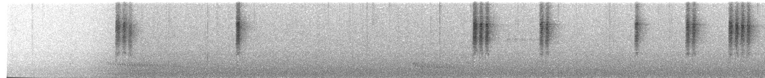 Star-throated Antwren - ML638317399