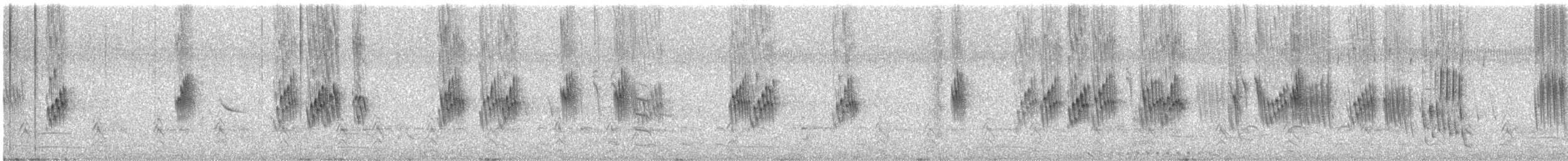 Chilean Swallow - ML638318329