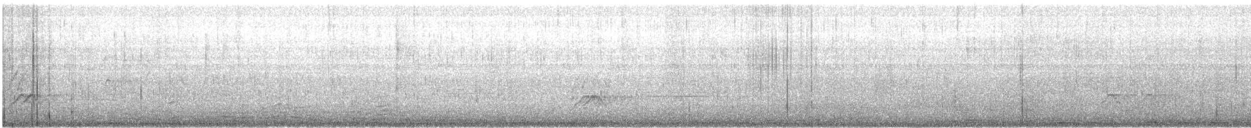Nymphensittich (domestiziert) - ML638318541