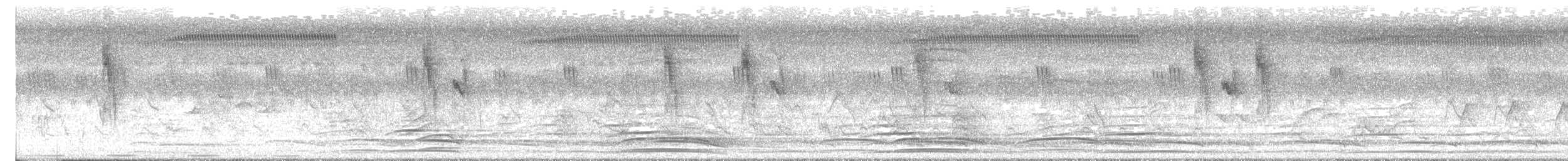 gråbrystprinia - ML638318593