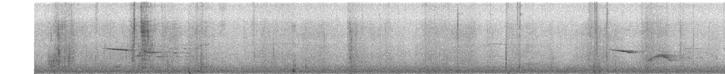 Paseriforme sp. - ML638318708