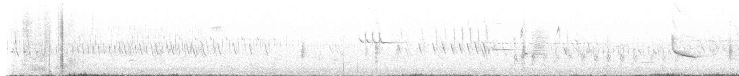 זרון אמריקני - ML638318803
