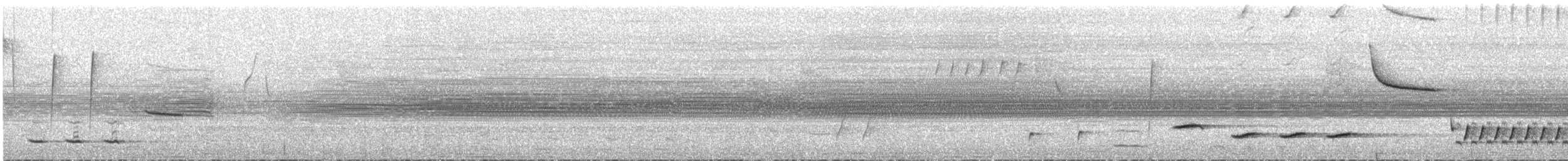 Banded Wren - ML638318812