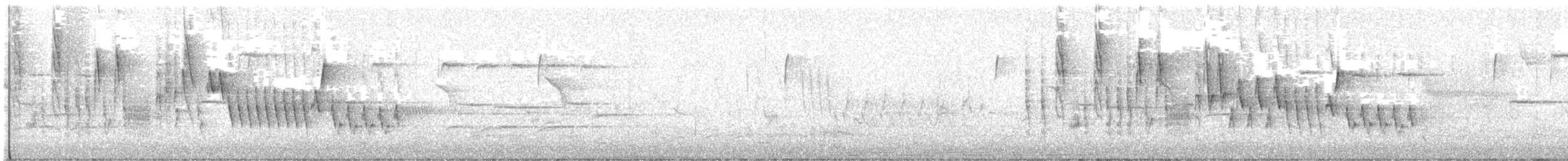 Northern House Wren - ML638319169