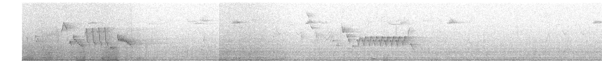 Northern House Wren - ML638319170